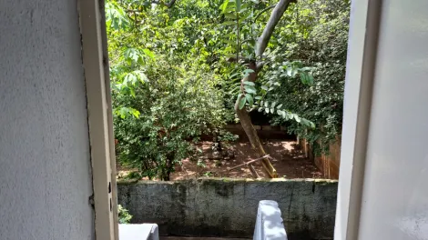 Casas / Padr&atilde;o em Guariba - foto 30