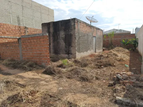 Casas / Padr&atilde;o em Jaboticabal - foto 1