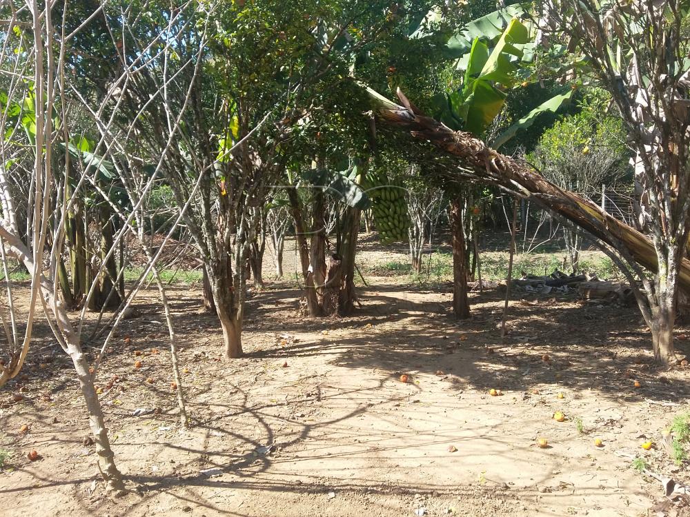 Comprar Rurais / Ch&aacute;cara em Po&ccedil;os de Caldas R$ 1.000.000,00 - Foto 2