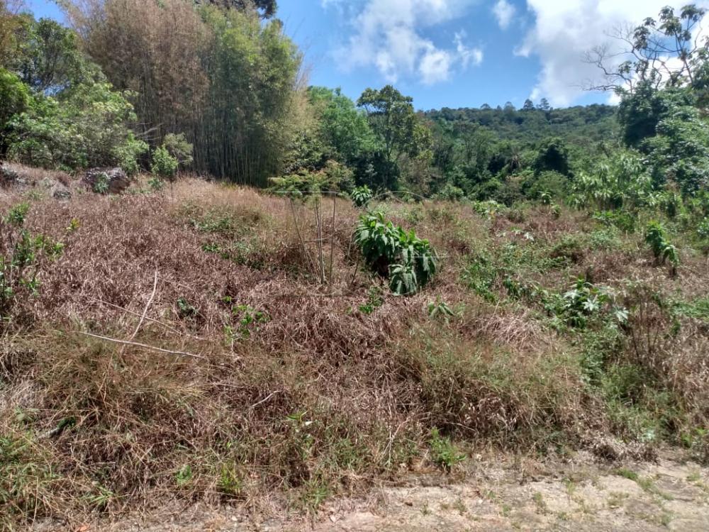 Terreno, 1908 m² - Foto 2