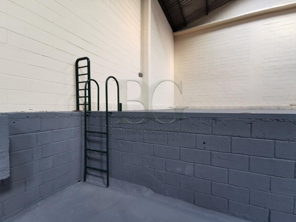 Depósito-Galpão, 493 m² - Foto 6