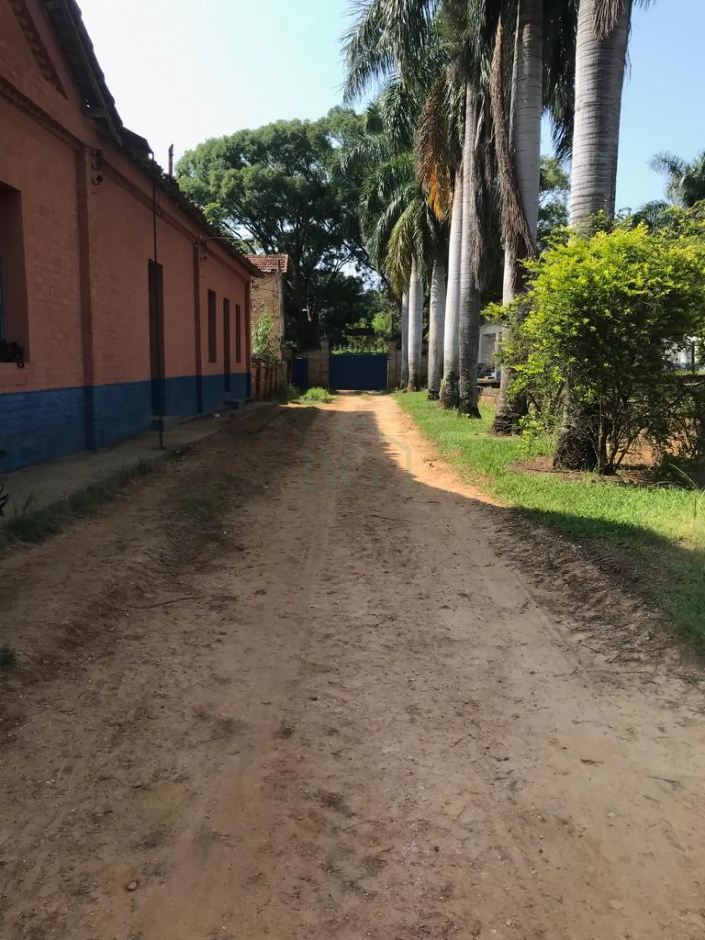 Fazenda, 5 hectares - Foto 3