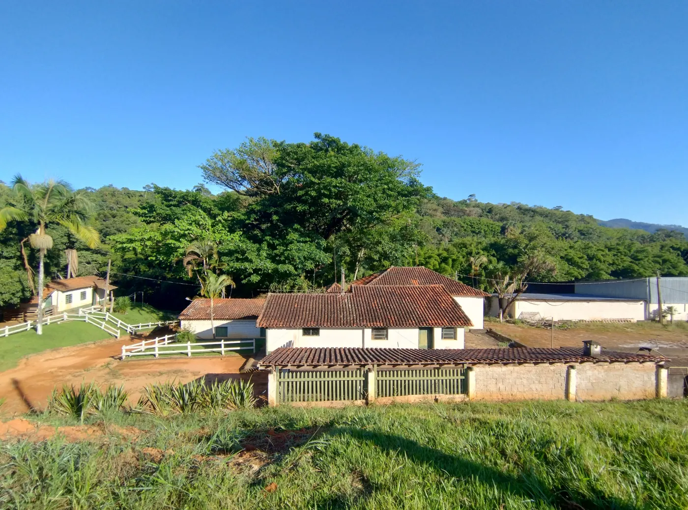 Fazenda, 353 hectares - Foto 1
