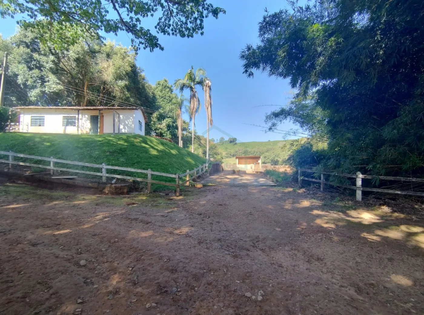 Fazenda, 353 hectares - Foto 13