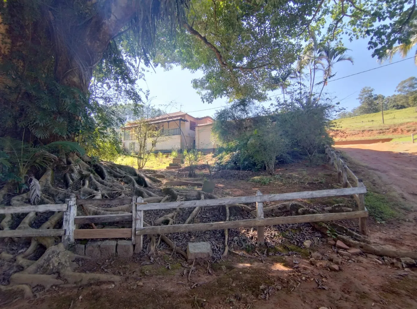 Fazenda, 353 hectares - Foto 14