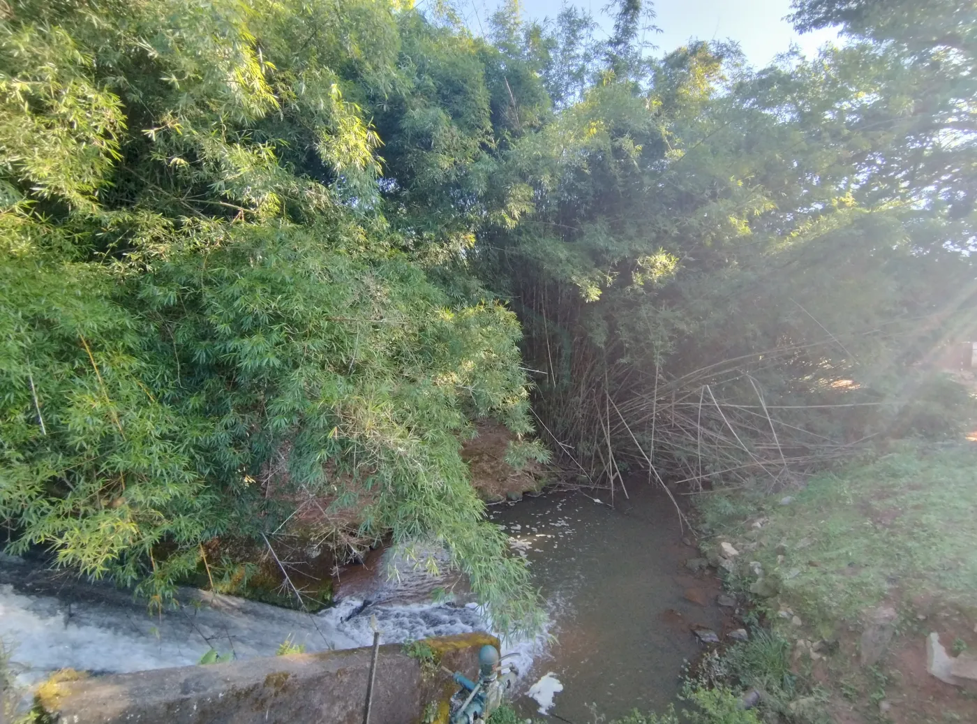 Fazenda, 353 hectares - Foto 39