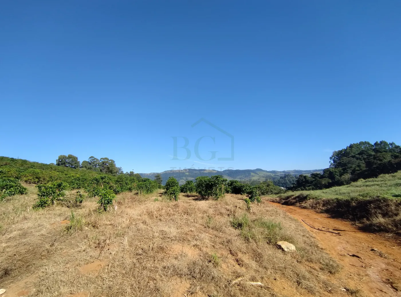 Fazenda, 353 hectares - Foto 44