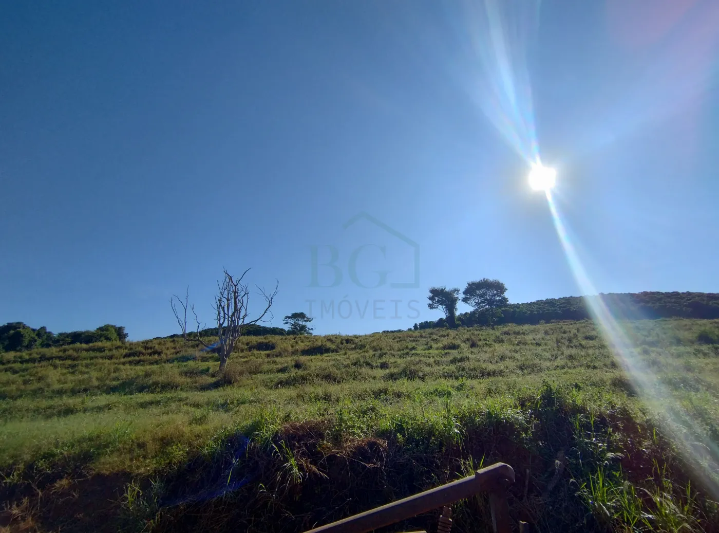 Fazenda, 353 hectares - Foto 45