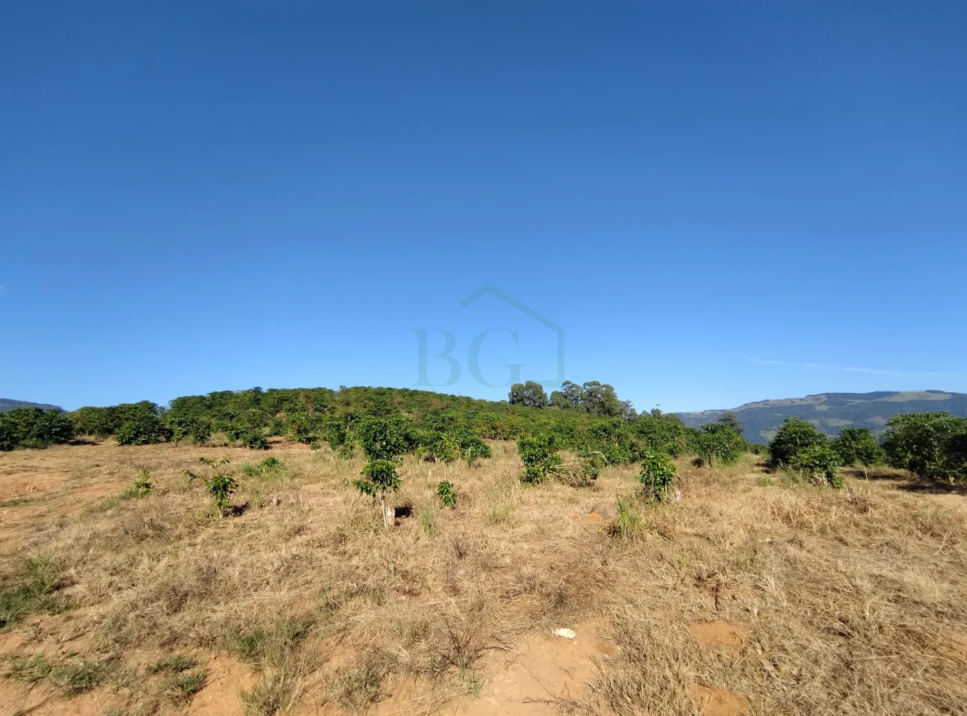 Fazenda, 353 hectares - Foto 46
