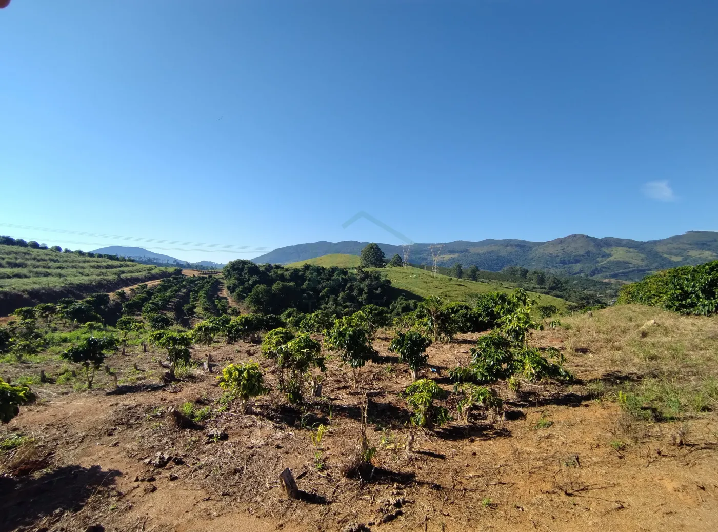 Fazenda, 353 hectares - Foto 47