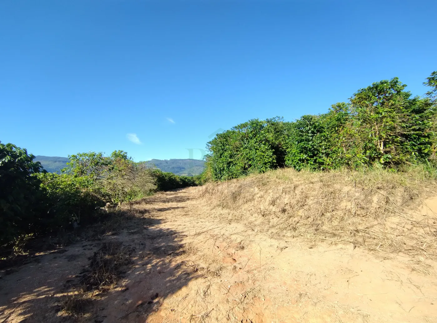 Fazenda, 353 hectares - Foto 48