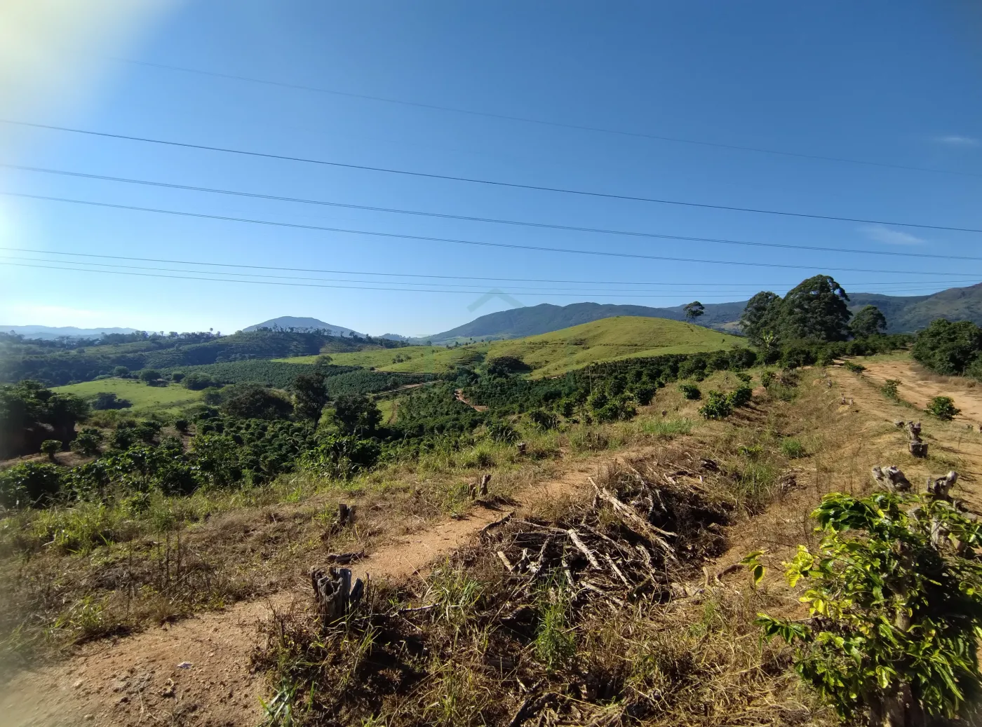 Fazenda, 353 hectares - Foto 50