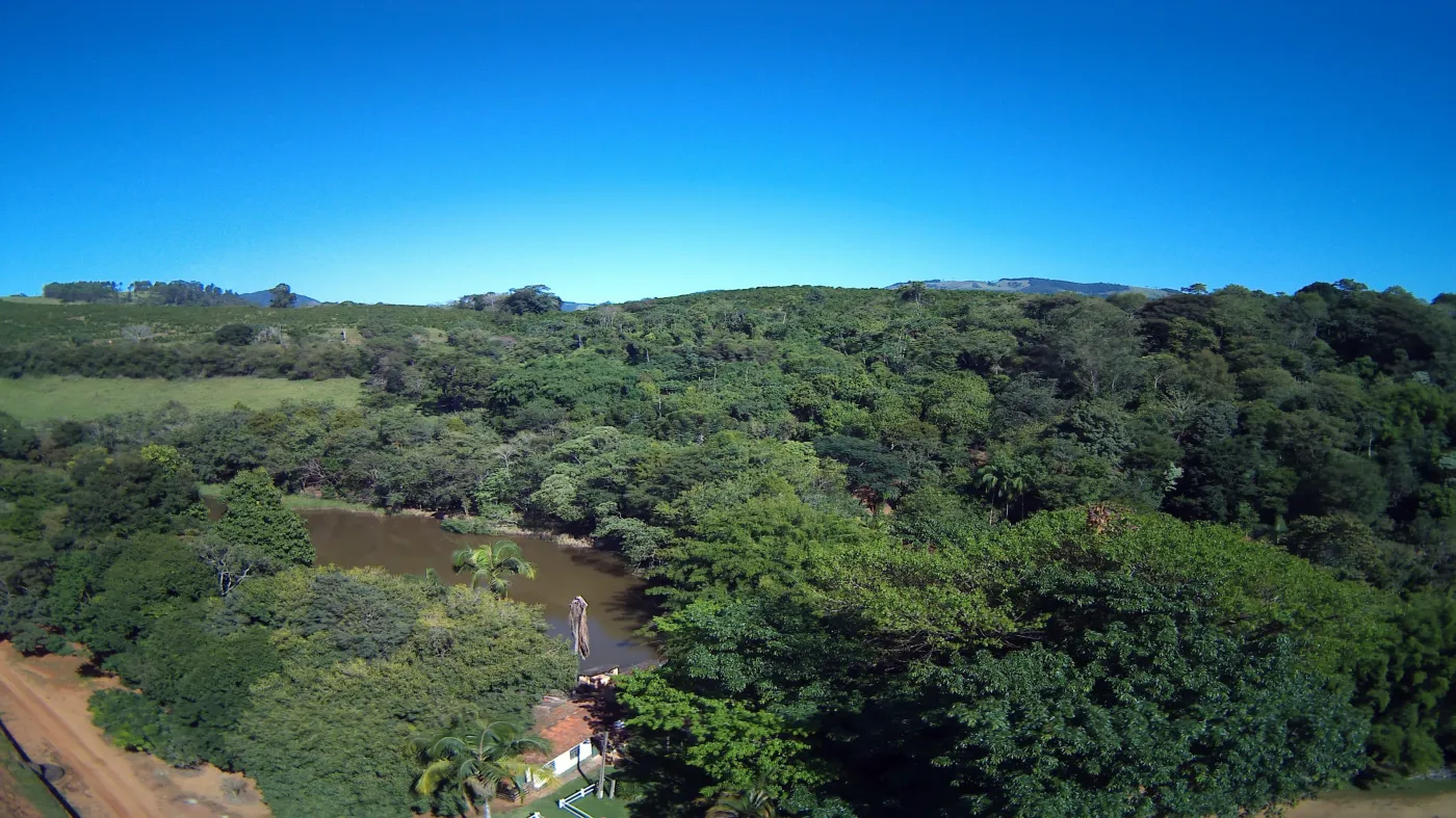 Fazenda, 353 hectares - Foto 37