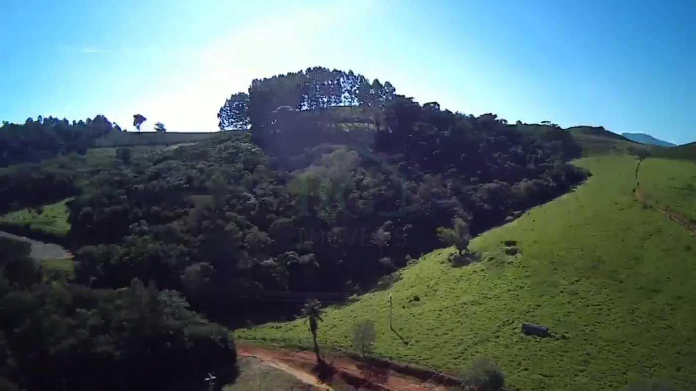 Fazenda, 353 hectares - Foto 53