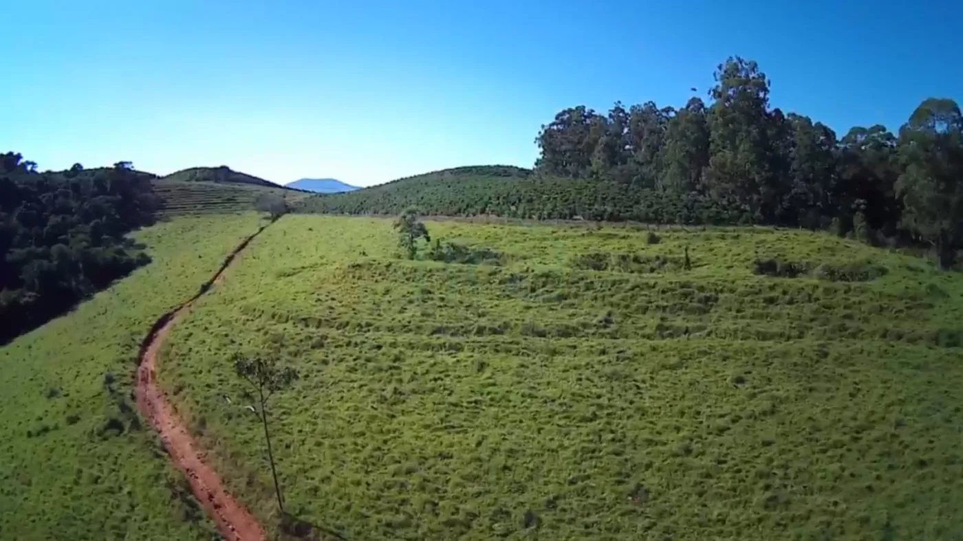 Fazenda, 353 hectares - Foto 54