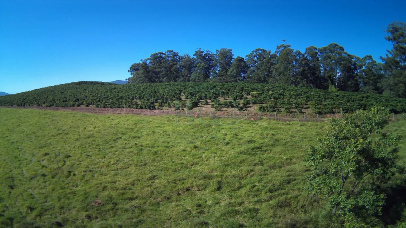 Fazenda, 353 hectares - Foto 55