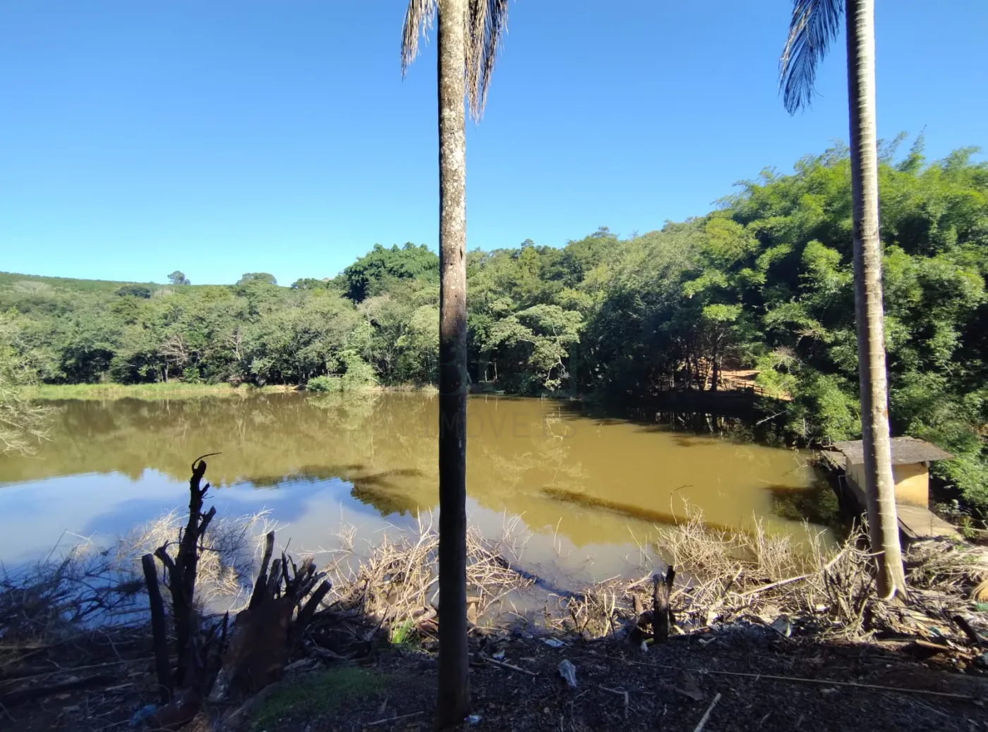 Fazenda, 353 hectares - Foto 34