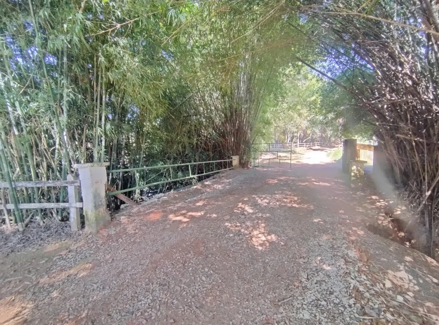 Fazenda, 353 hectares - Foto 62