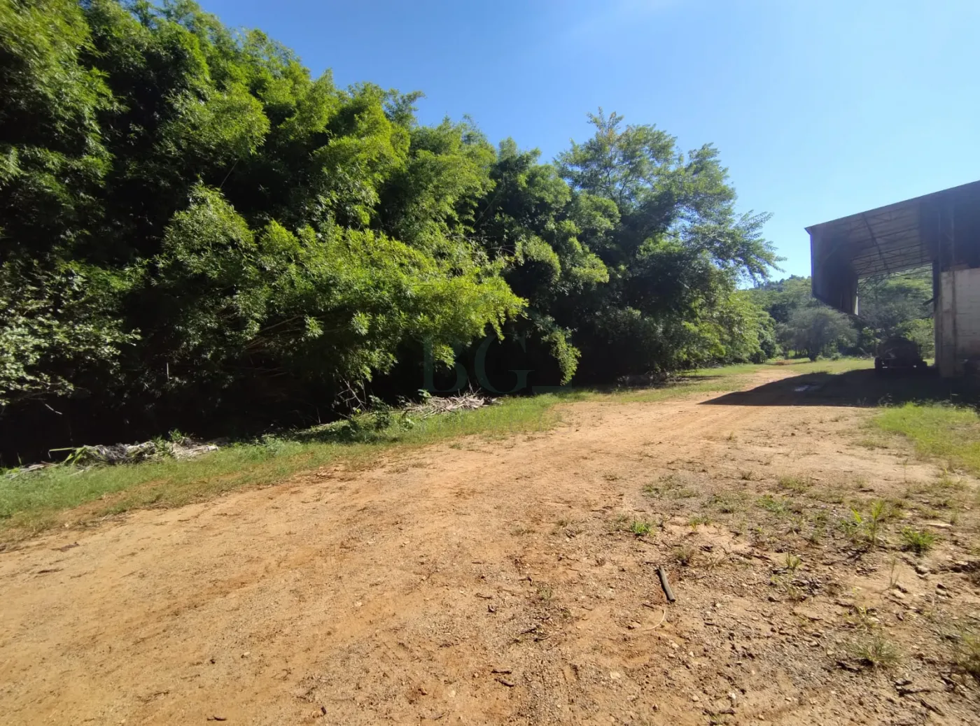 Fazenda, 353 hectares - Foto 64