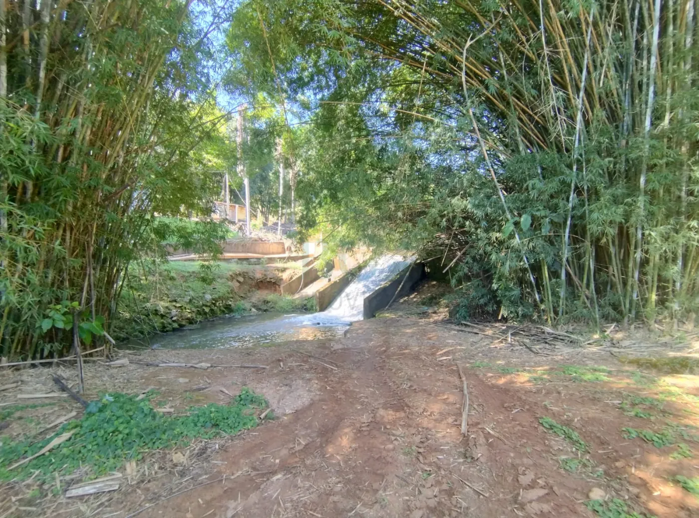 Fazenda, 353 hectares - Foto 65