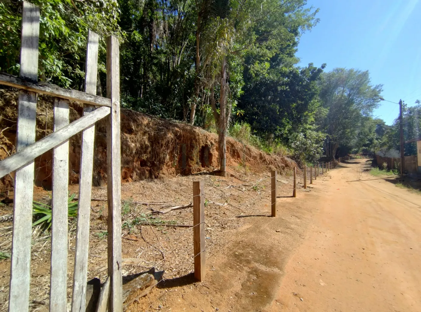 Fazenda, 353 hectares - Foto 71