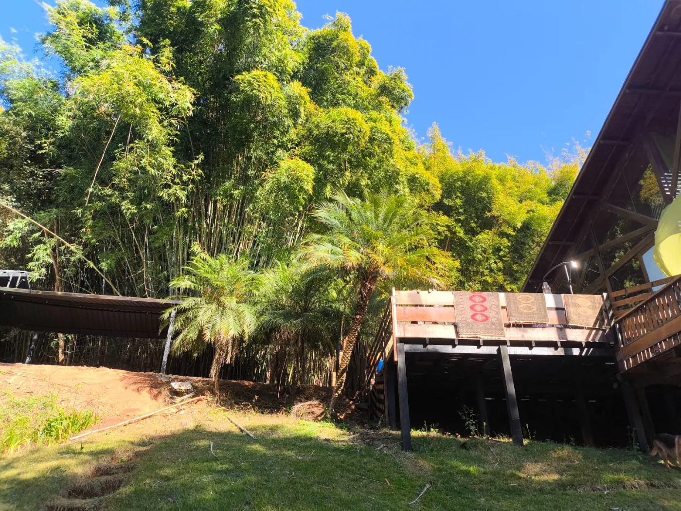 Comprar Rurais / S&iacute;tio em Po&ccedil;os de Caldas R$ 1.250.000,00 - Foto 5