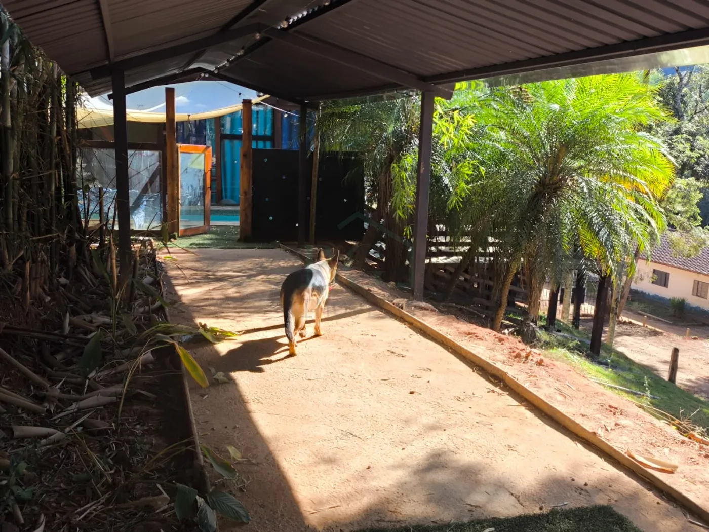 Comprar Rurais / S&iacute;tio em Po&ccedil;os de Caldas R$ 1.250.000,00 - Foto 11