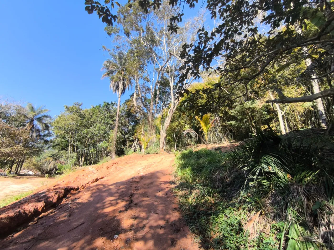 Comprar Rurais / S&iacute;tio em Po&ccedil;os de Caldas R$ 1.250.000,00 - Foto 12