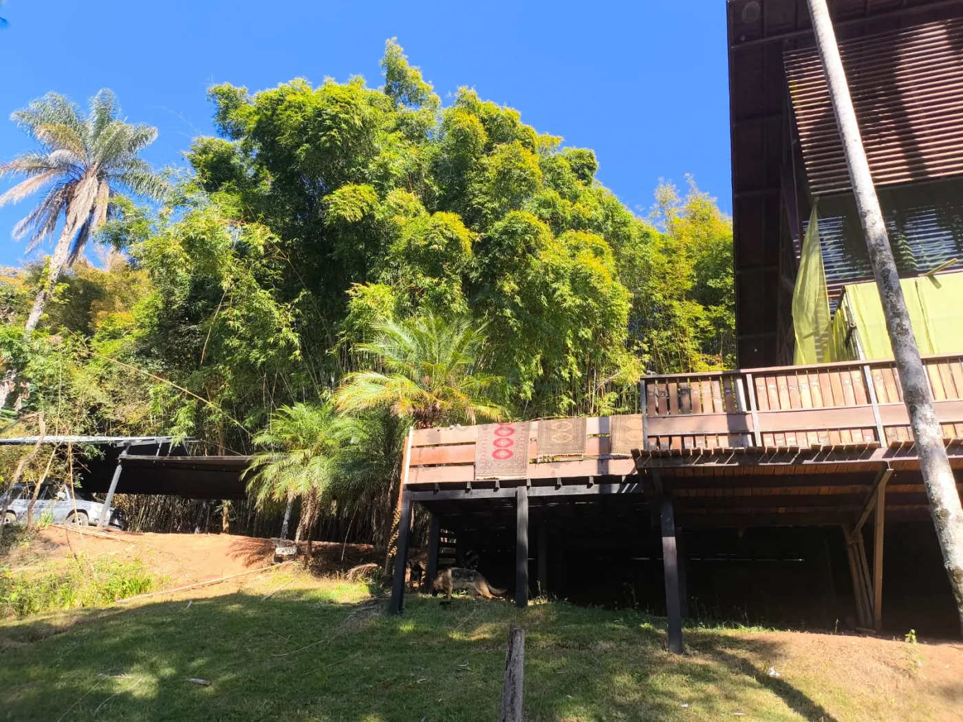 Comprar Rurais / S&iacute;tio em Po&ccedil;os de Caldas R$ 1.250.000,00 - Foto 6