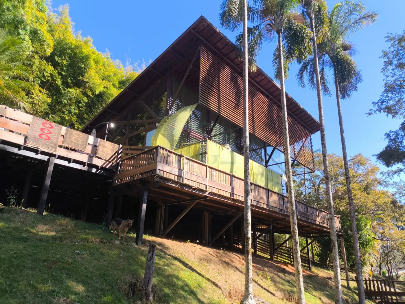 Comprar Rurais / S&iacute;tio em Po&ccedil;os de Caldas R$ 1.250.000,00 - Foto 1