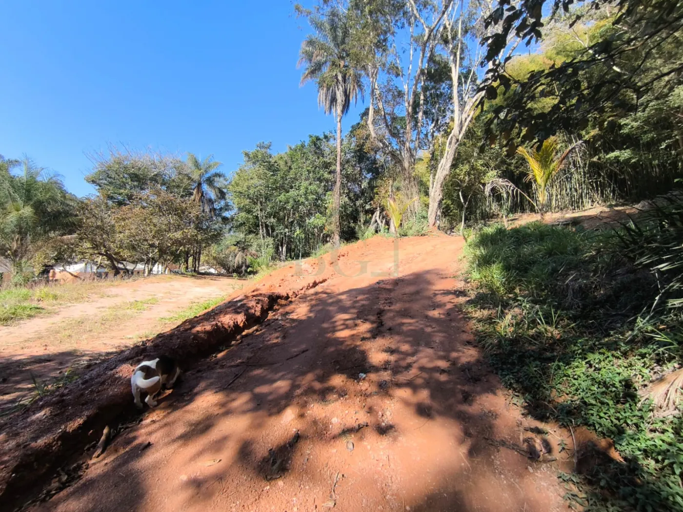 Comprar Rurais / S&iacute;tio em Po&ccedil;os de Caldas R$ 1.250.000,00 - Foto 13