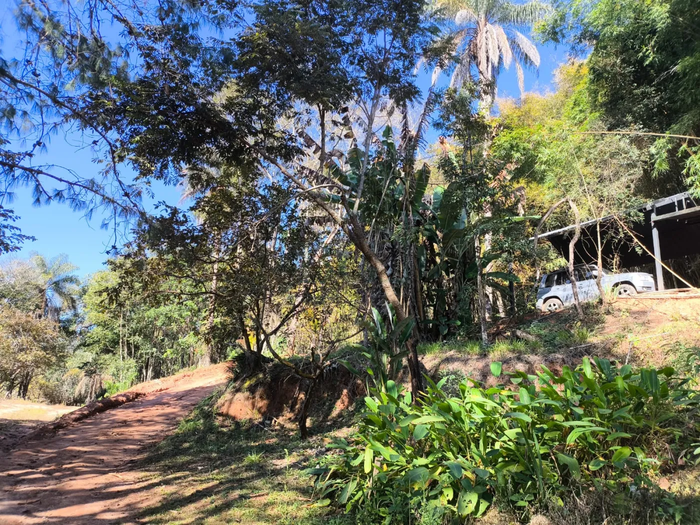 Comprar Rurais / S&iacute;tio em Po&ccedil;os de Caldas R$ 1.250.000,00 - Foto 15