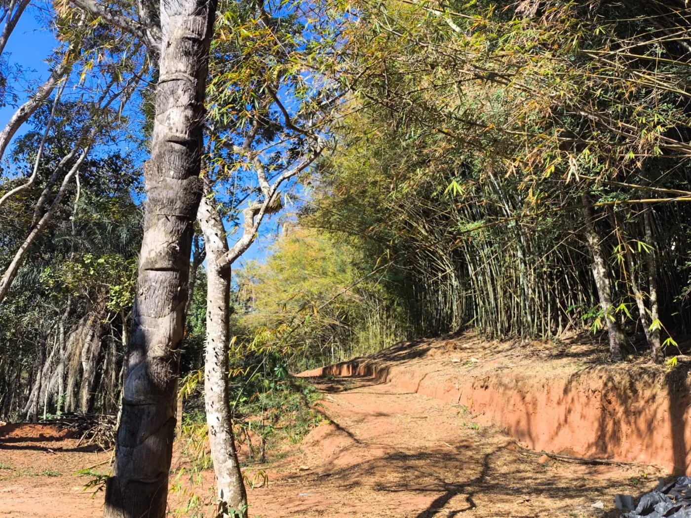 Comprar Rurais / S&iacute;tio em Po&ccedil;os de Caldas R$ 1.250.000,00 - Foto 16