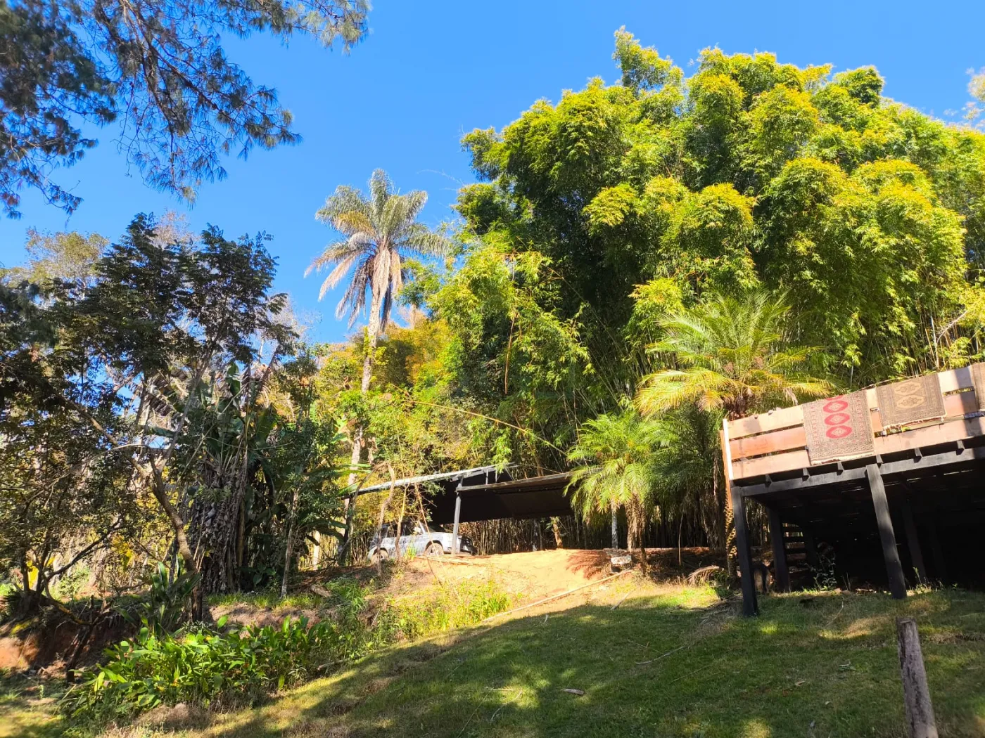 Comprar Rurais / S&iacute;tio em Po&ccedil;os de Caldas R$ 1.250.000,00 - Foto 9
