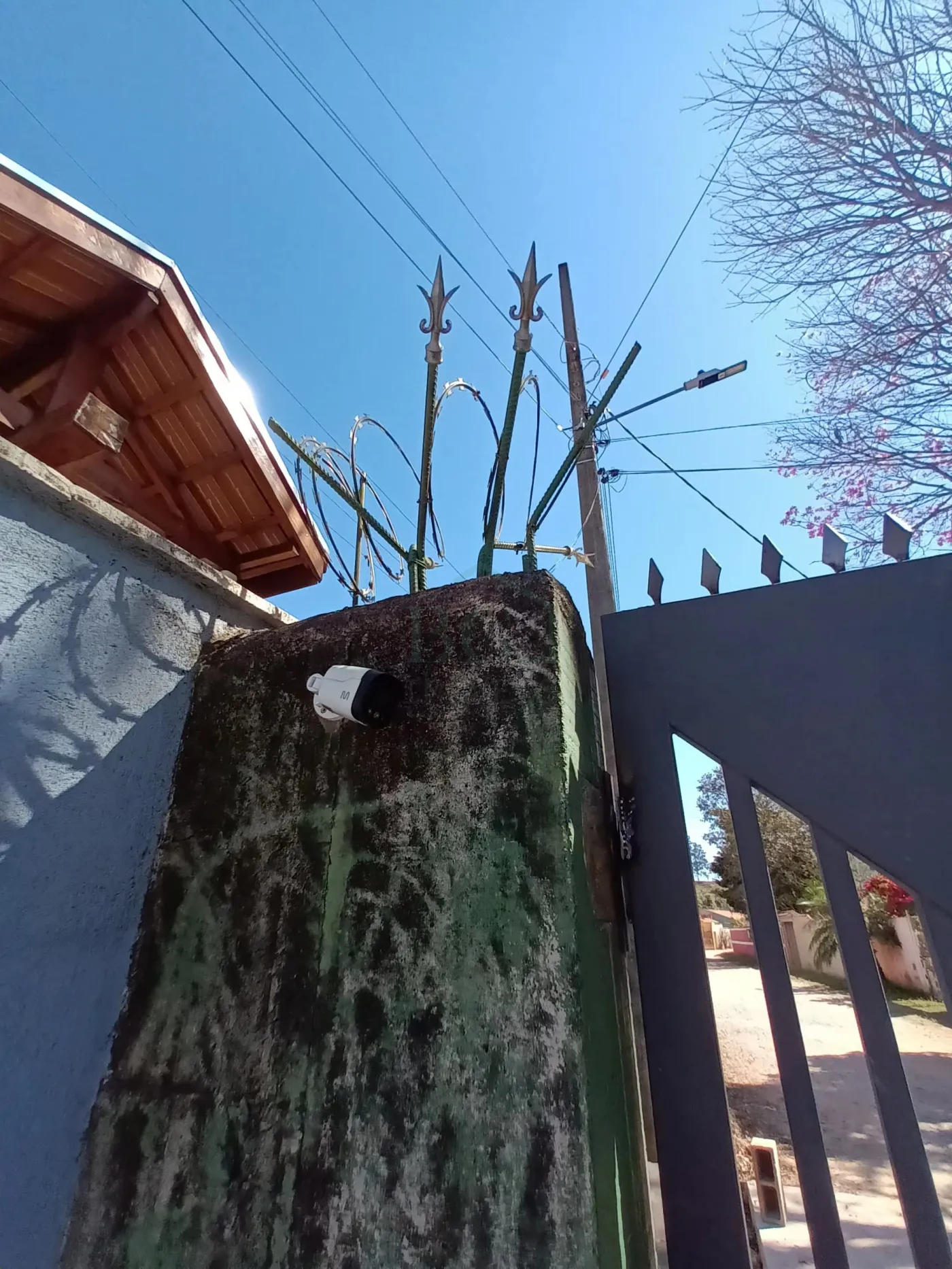 Chácara, 1850 m² - Foto 2