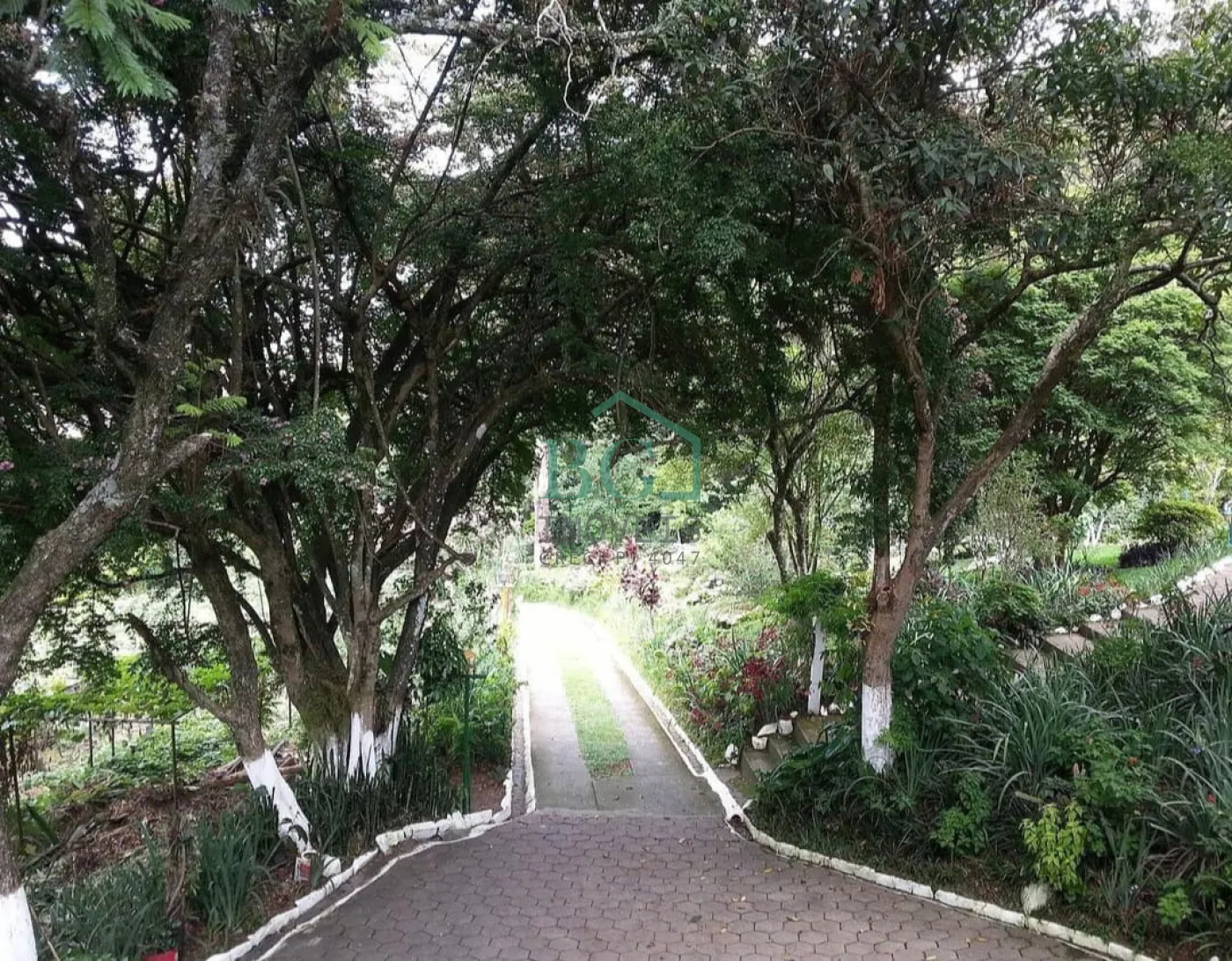 Casa, 8 quartos, 406 m² - Foto 2