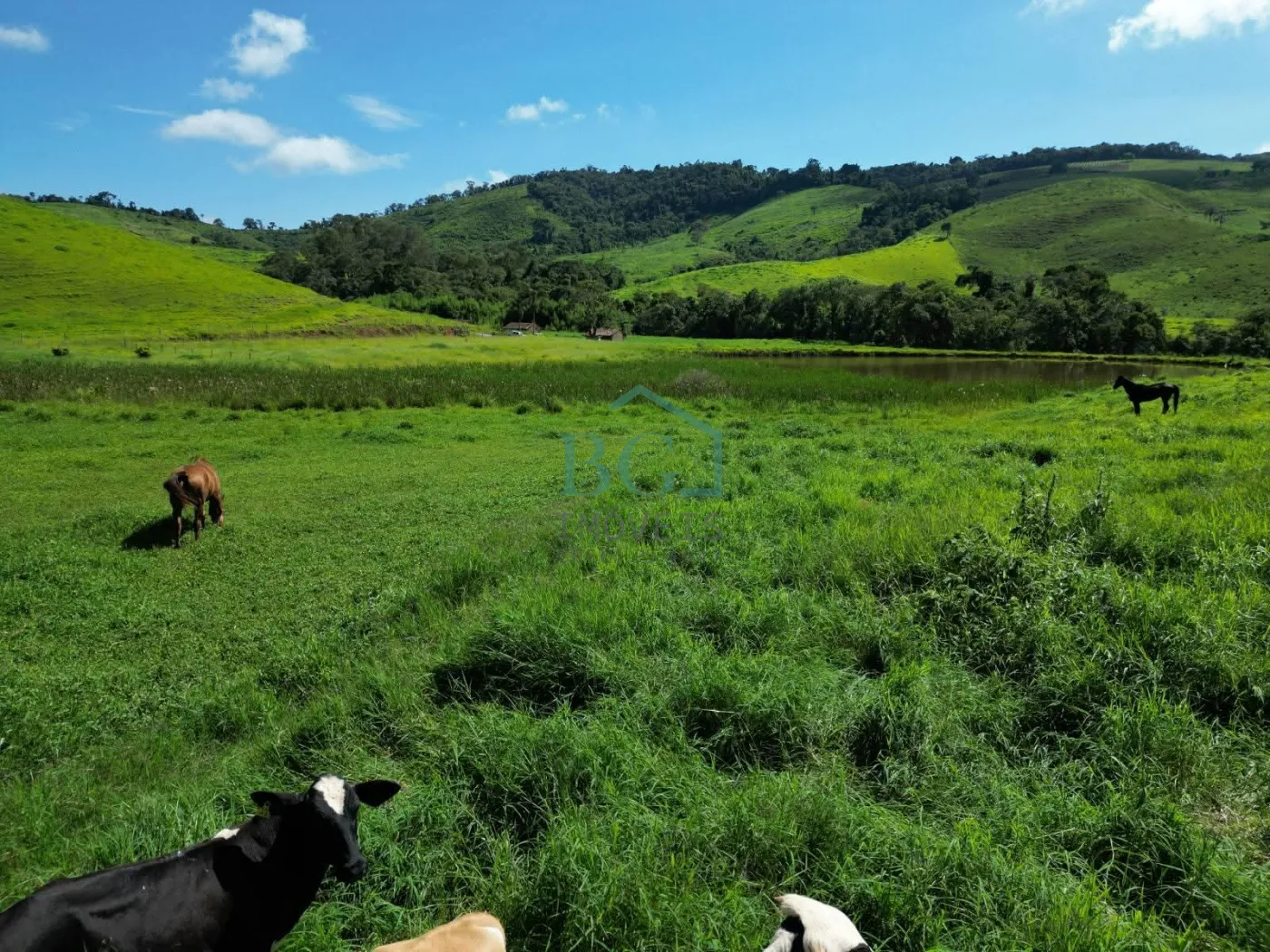 Fazenda, 1249 hectares - Foto 4