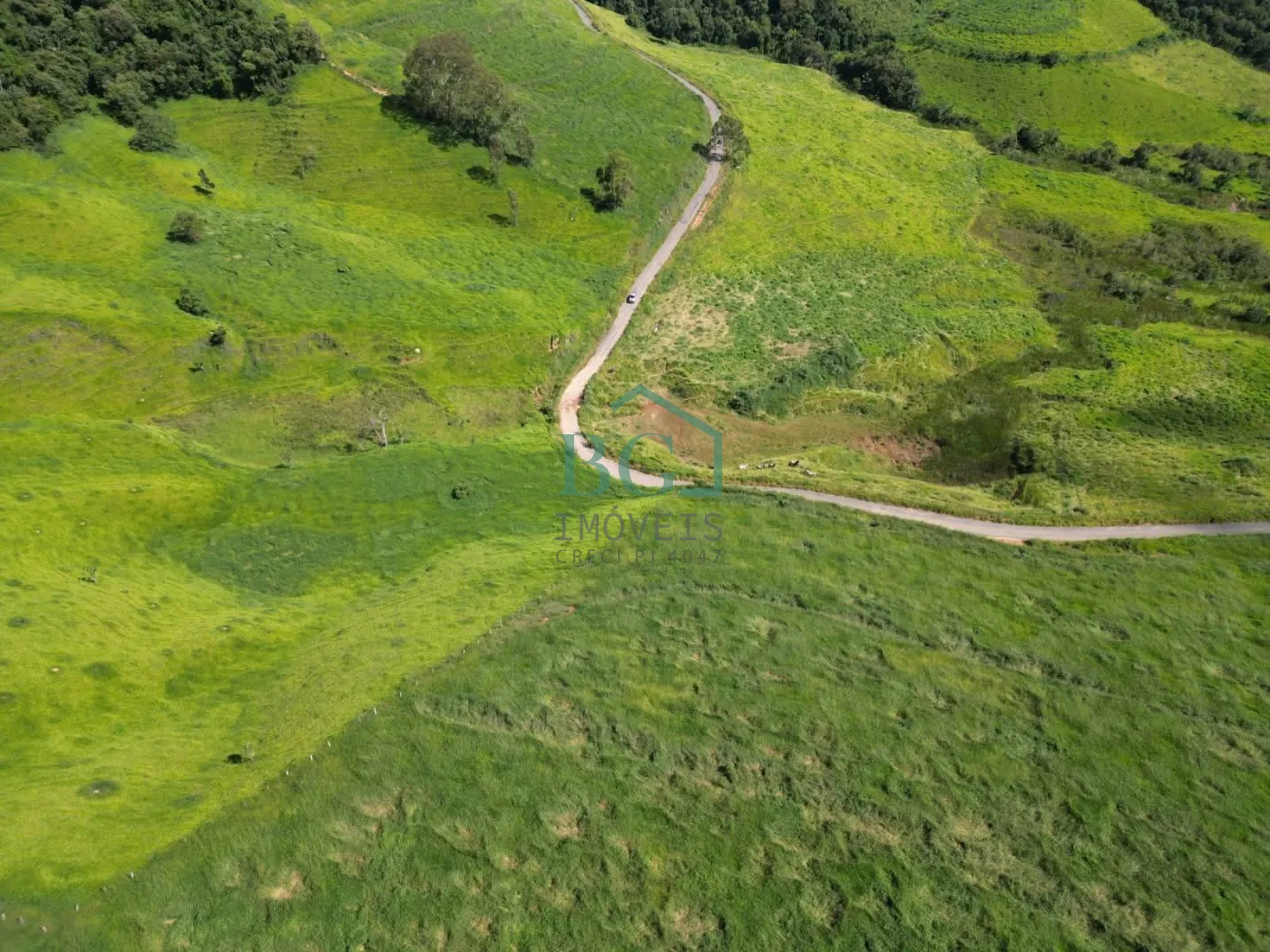 Fazenda, 1249 hectares - Foto 6