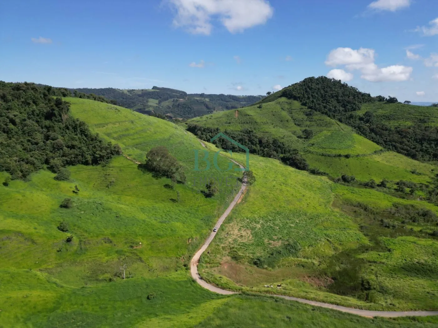 Fazenda, 1249 hectares - Foto 7