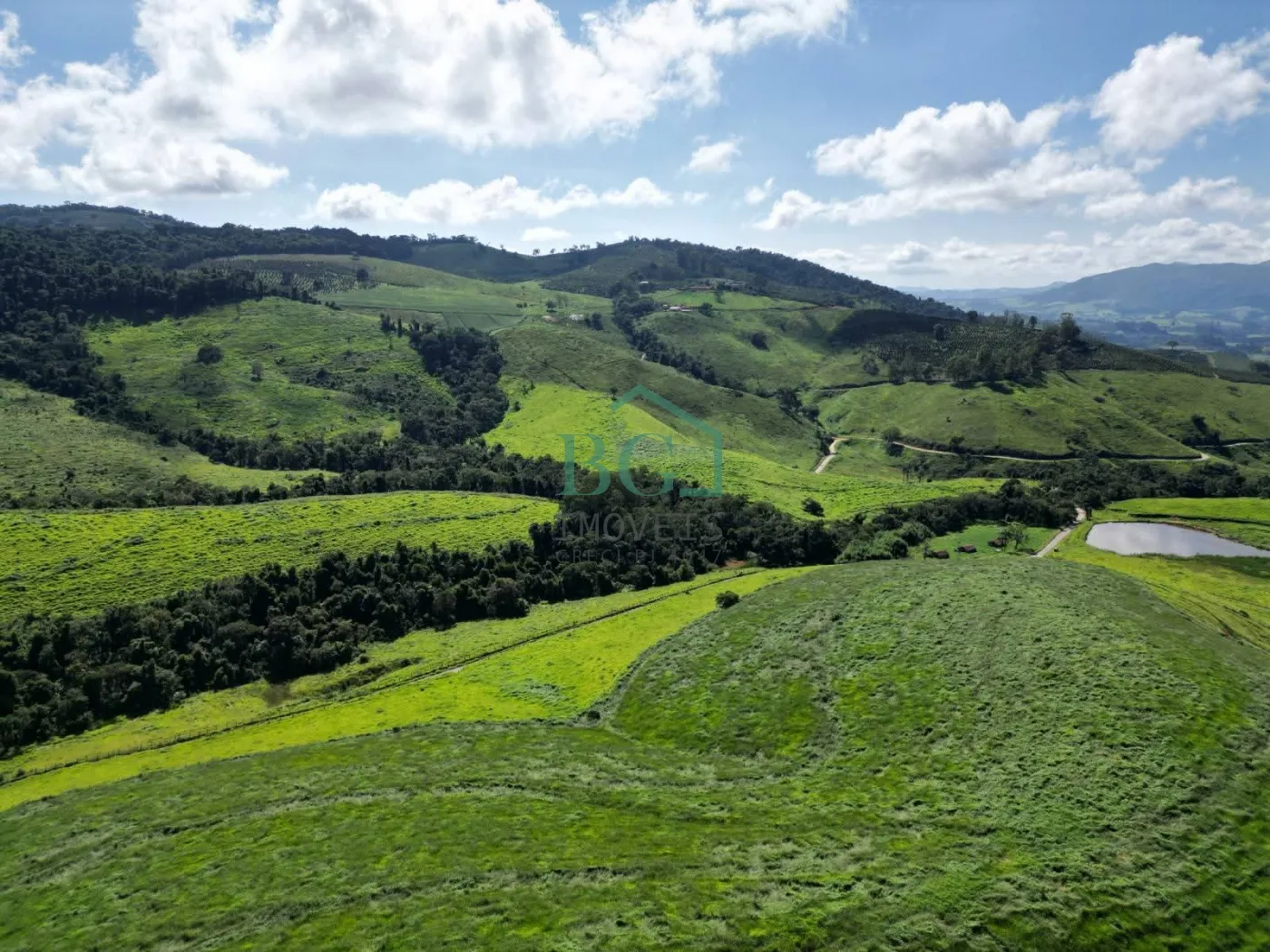 Fazenda, 1249 hectares - Foto 8