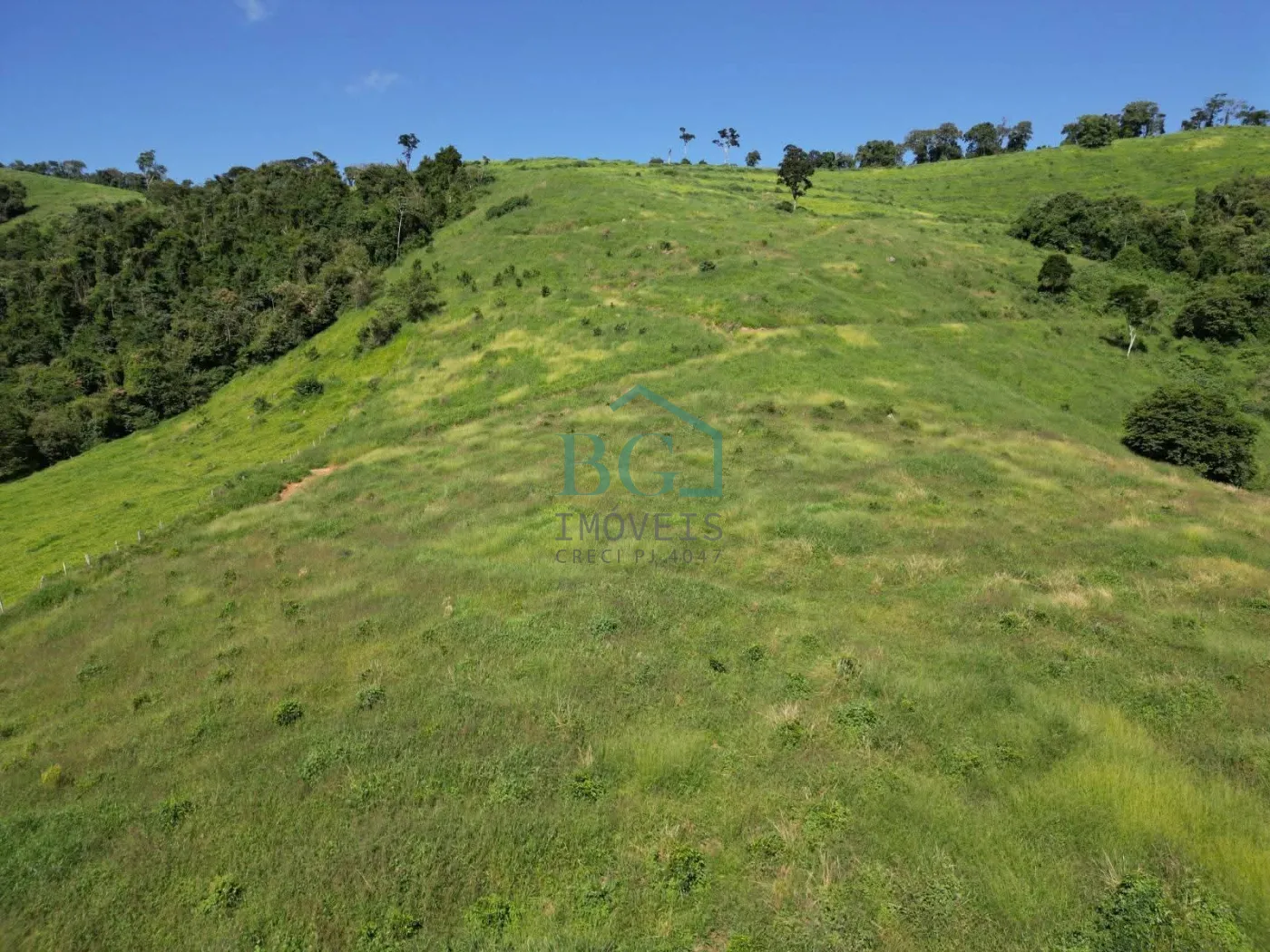 Fazenda, 1249 hectares - Foto 9