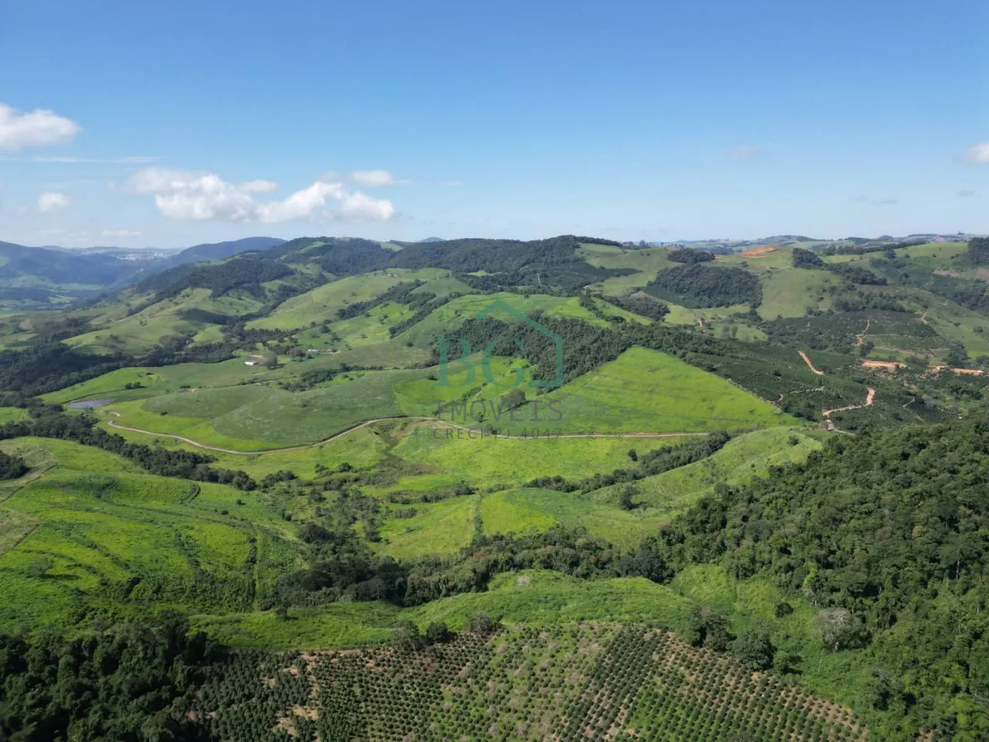 Fazenda, 1249 hectares - Foto 10