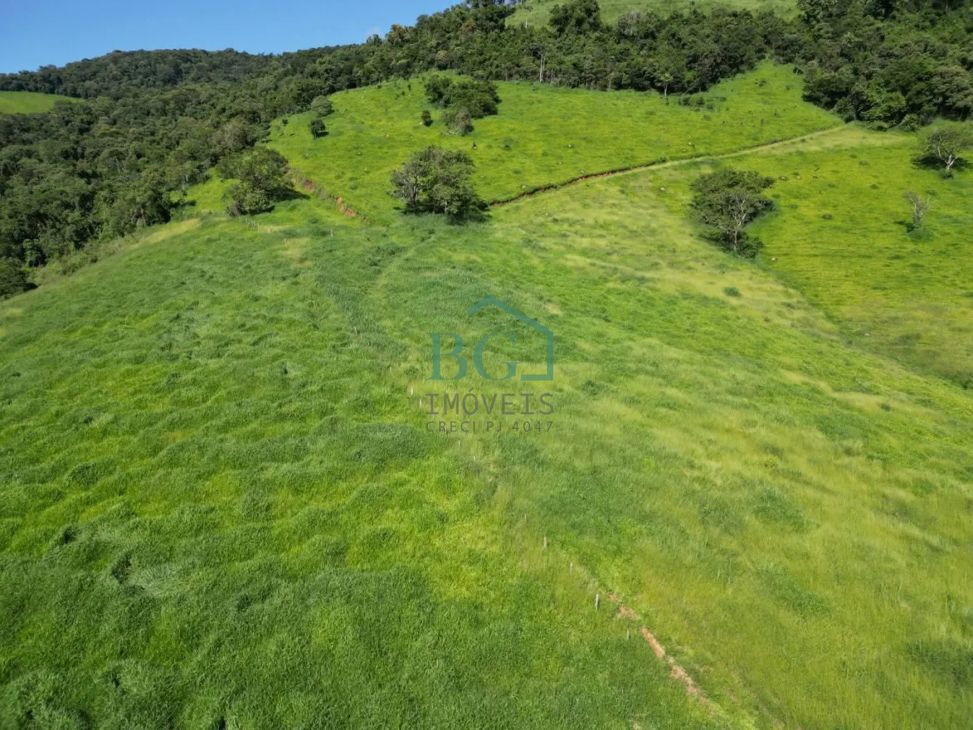 Fazenda, 1249 hectares - Foto 11