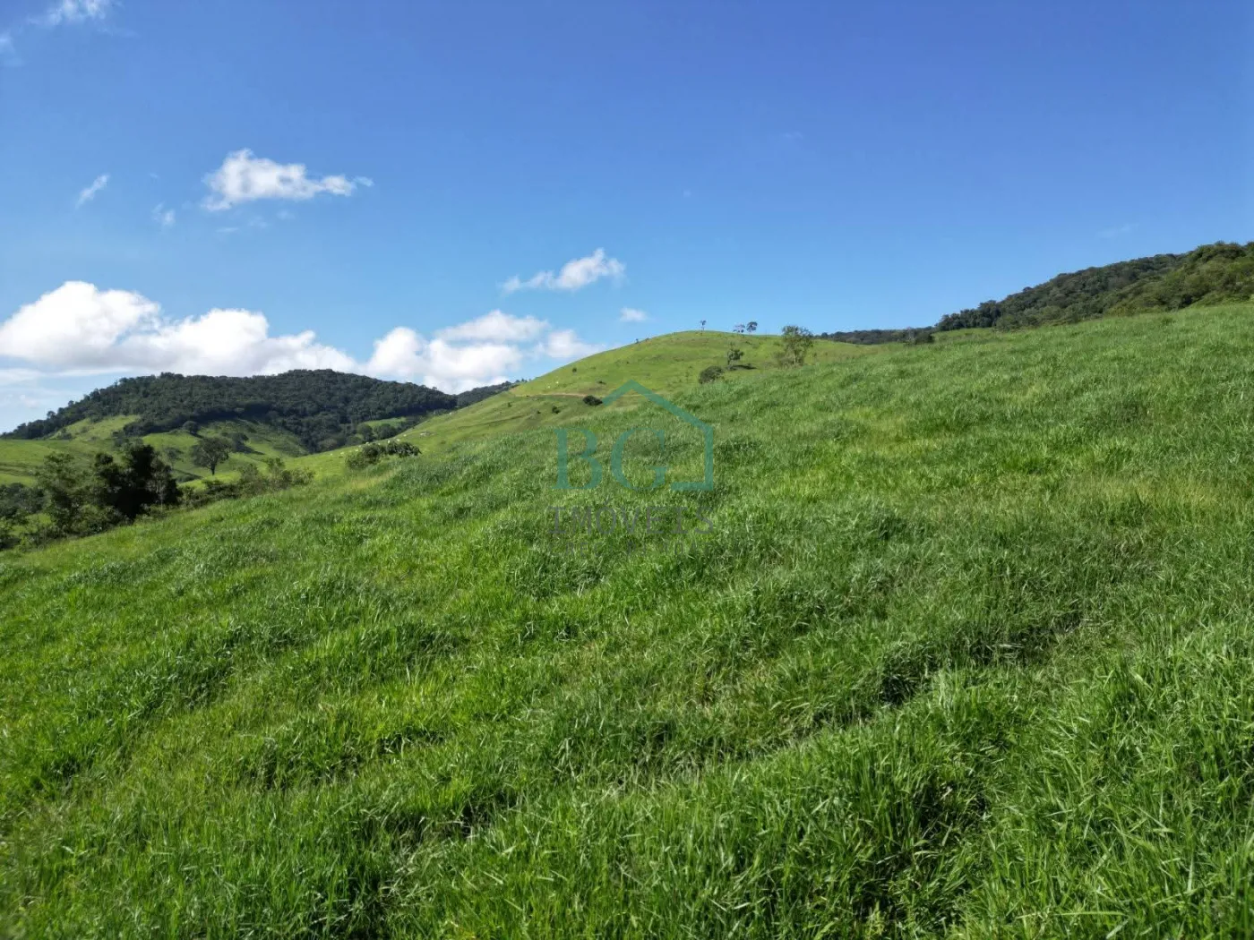 Fazenda, 1249 hectares - Foto 12