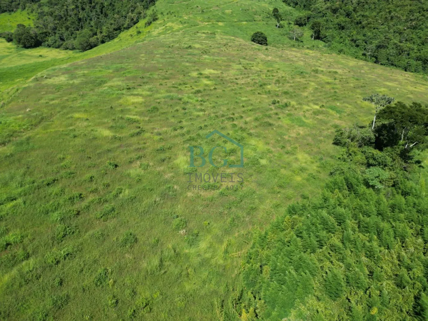 Fazenda, 1249 hectares - Foto 15
