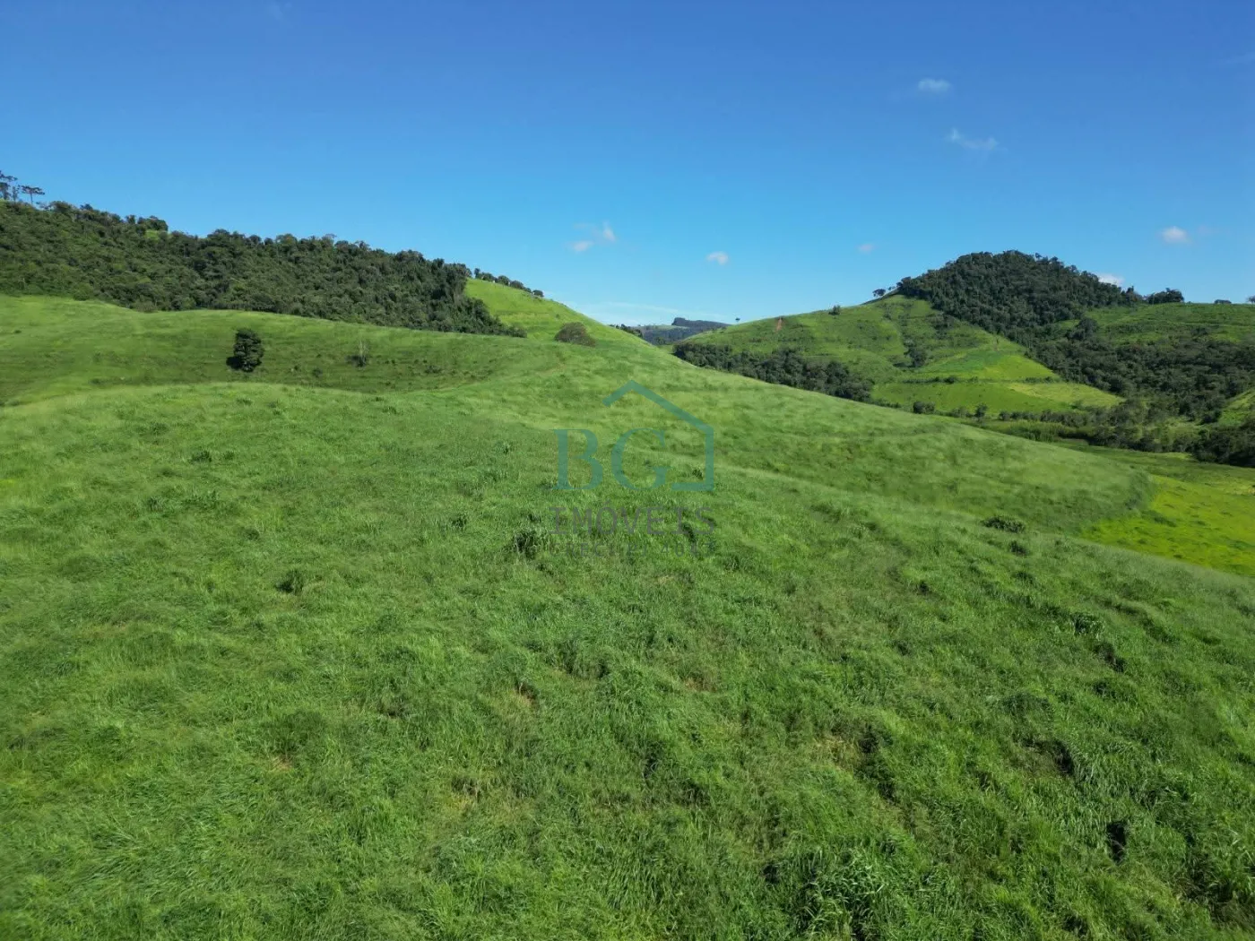 Fazenda, 1249 hectares - Foto 17
