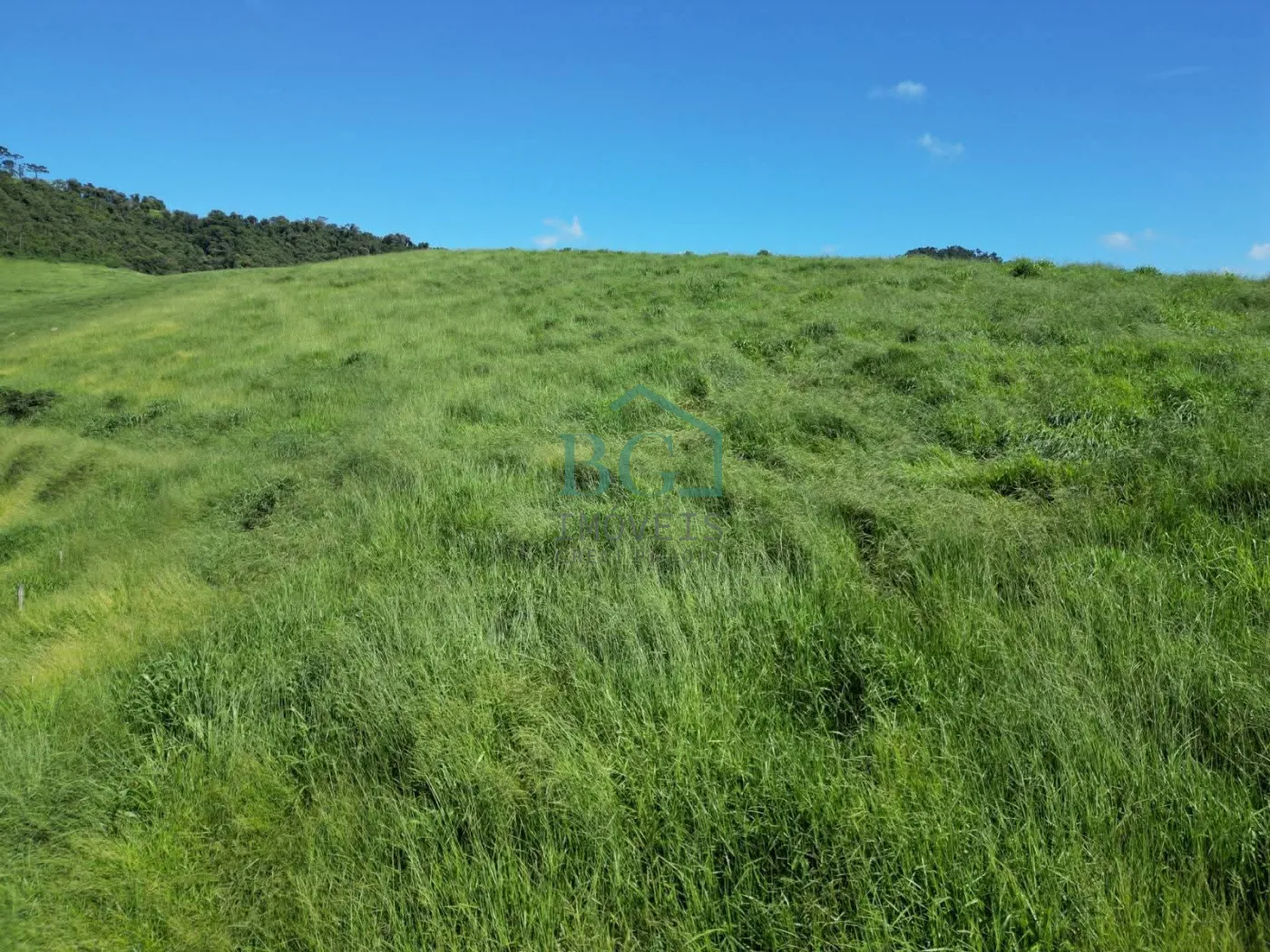 Fazenda, 1249 hectares - Foto 18
