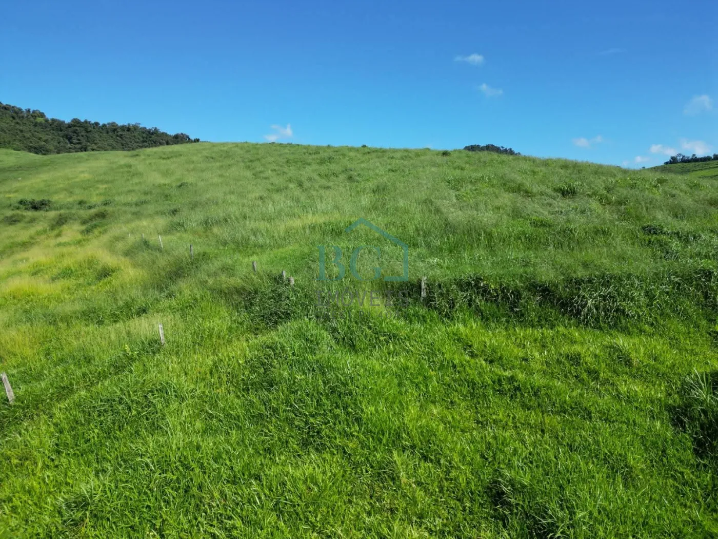Fazenda, 1249 hectares - Foto 19