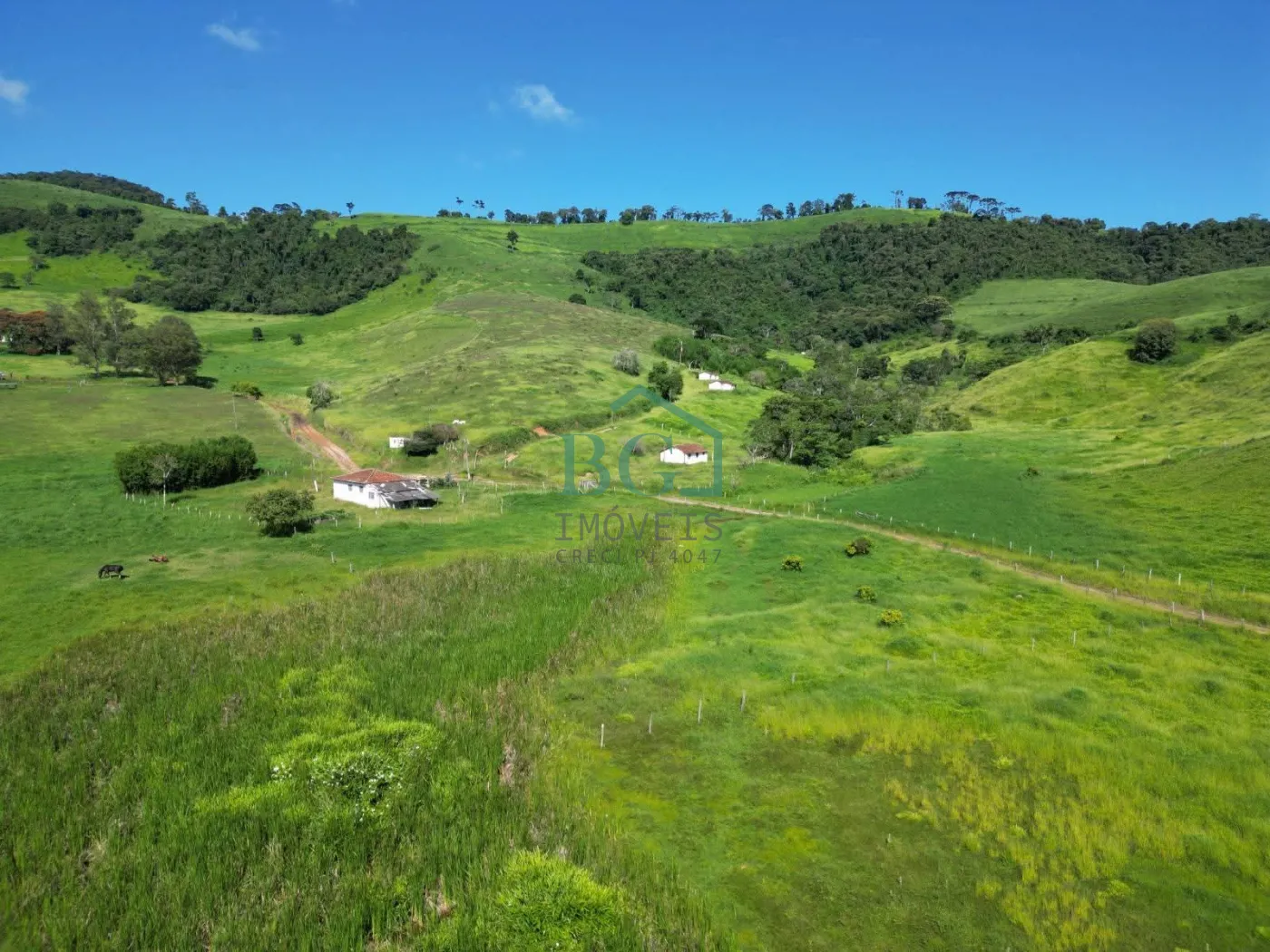Fazenda, 1249 hectares - Foto 21
