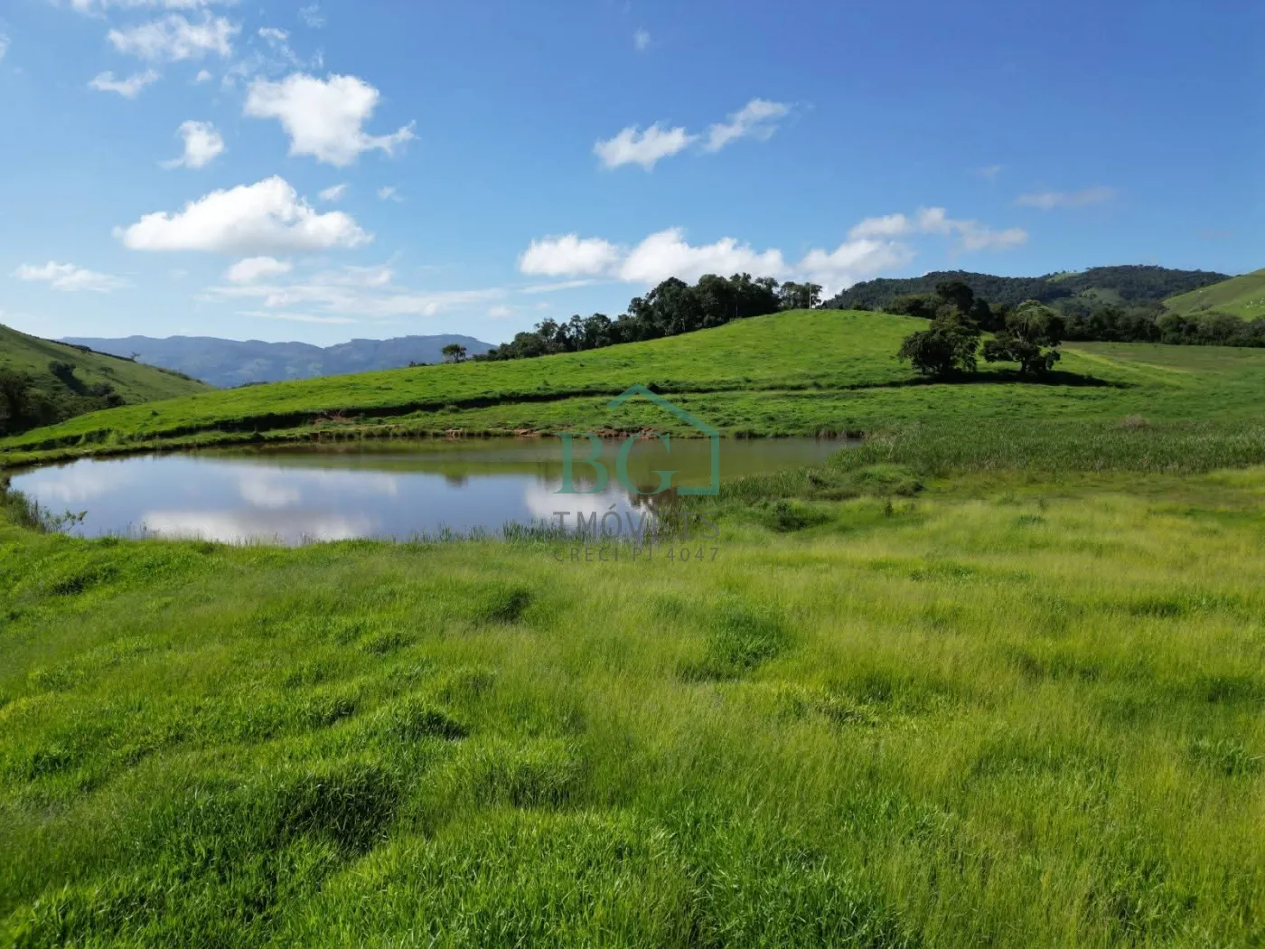 Fazenda, 1249 hectares - Foto 22